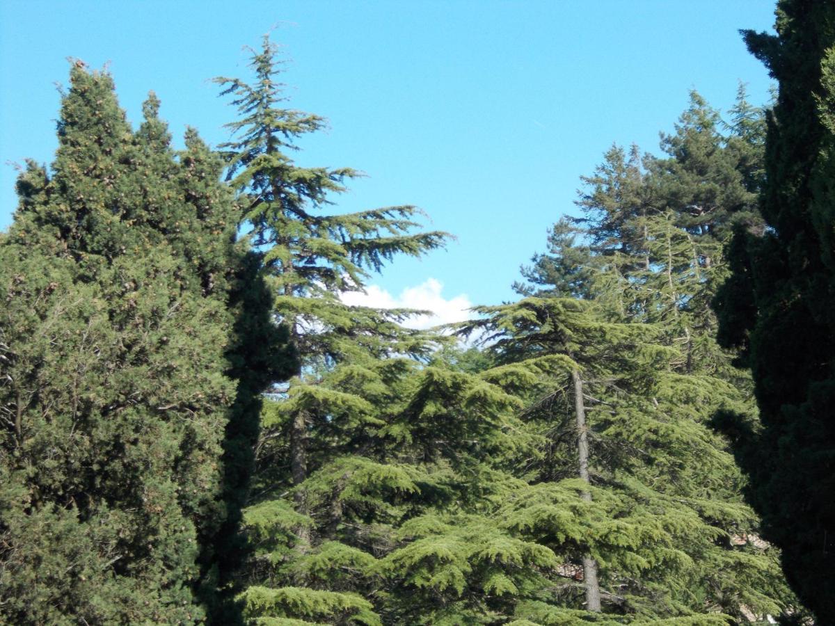 La Vecchia Locanda Castelnuovo di Val di Cecina Bagian luar foto