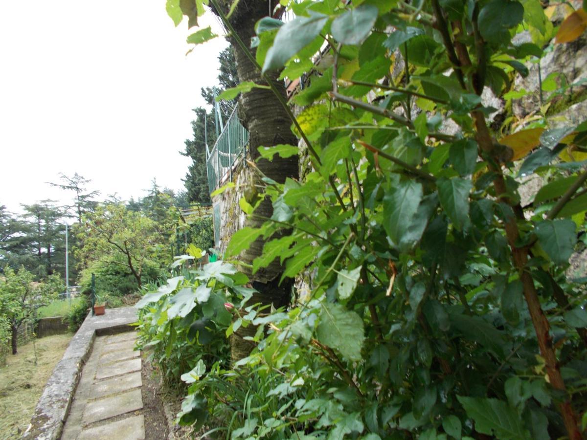La Vecchia Locanda Castelnuovo di Val di Cecina Bagian luar foto