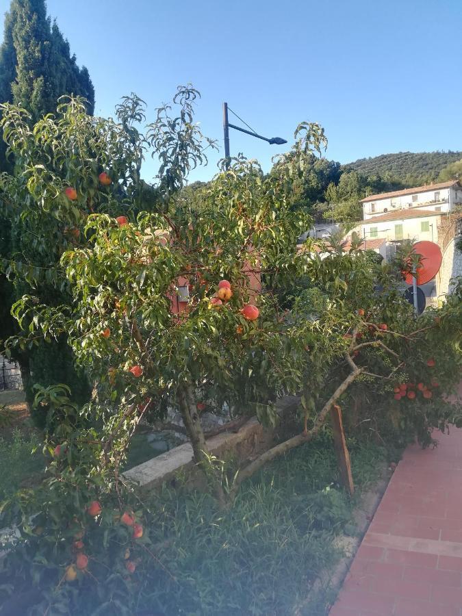 La Vecchia Locanda Castelnuovo di Val di Cecina Bagian luar foto